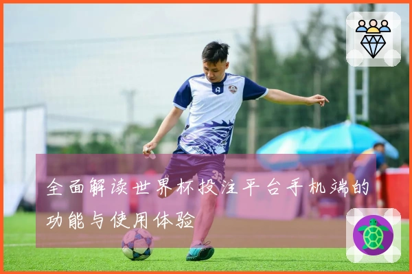 全面解读世界杯投注平台手机端的功能与使用体验