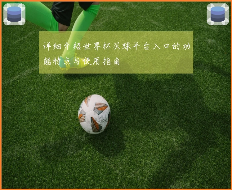详细介绍世界杯买球平台入口的功能特点与使用指南