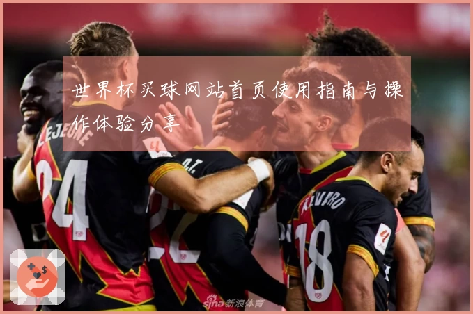 世界杯买球网站首页使用指南与操作体验分享