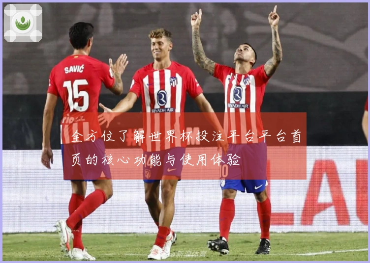 全方位了解世界杯投注平台平台首页的核心功能与使用体验