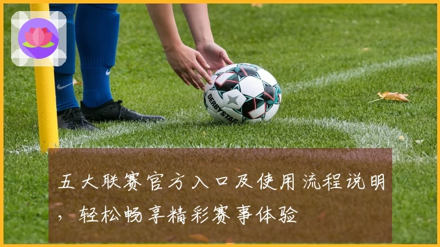 五大联赛官方入口及使用流程说明，轻松畅享精彩赛事体验