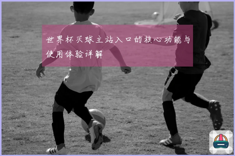 世界杯买球主站入口的核心功能与使用体验详解