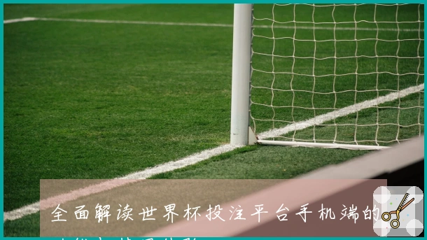 全面解读世界杯投注平台手机端的功能与使用体验