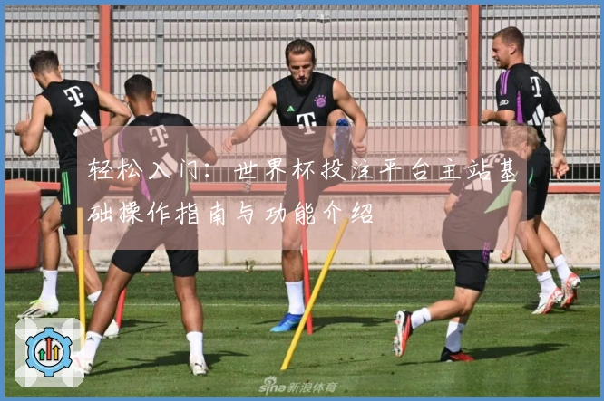 轻松入门：世界杯投注平台主站基础操作指南与功能介绍