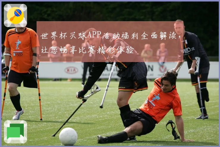 世界杯买球APP活动福利全面解读，让您畅享比赛精彩体验