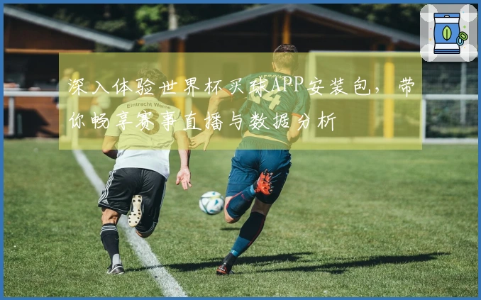 深入体验世界杯买球APP安装包，带你畅享赛事直播与数据分析
