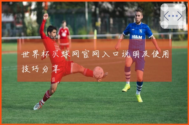 世界杯买球网官网入口说明及使用技巧分享