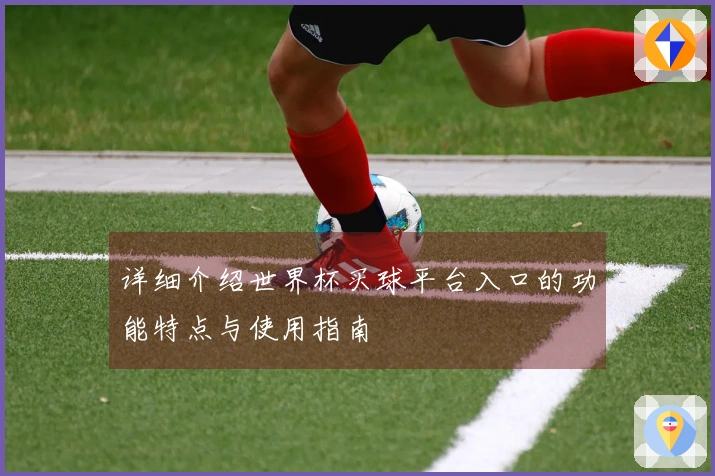 详细介绍世界杯买球平台入口的功能特点与使用指南