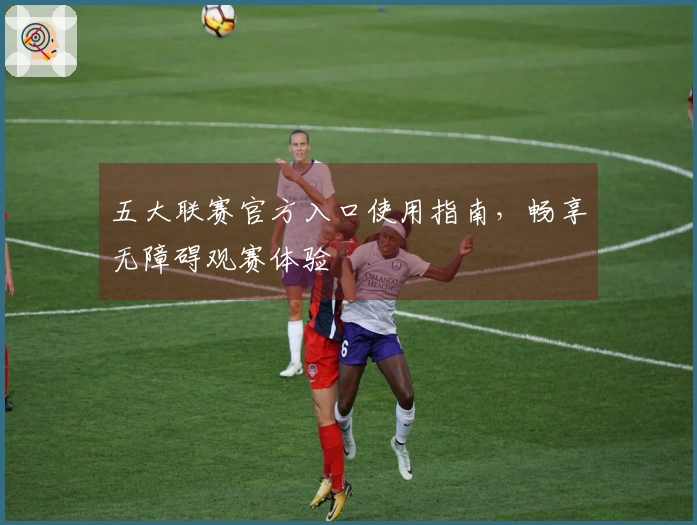 五大联赛官方入口使用指南，畅享无障碍观赛体验