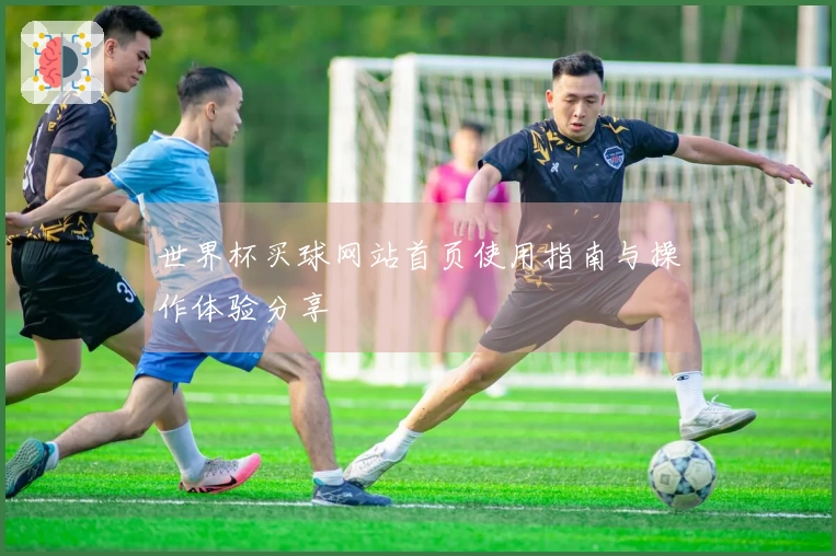 世界杯买球网站首页使用指南与操作体验分享