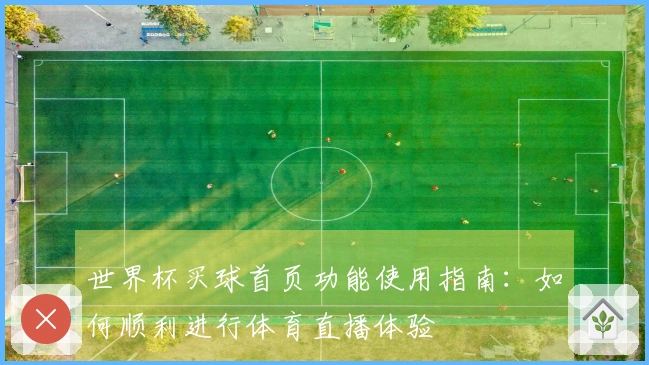 世界杯买球首页功能使用指南：如何顺利进行体育直播体验
