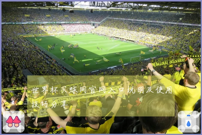世界杯买球网官网入口说明及使用技巧分享
