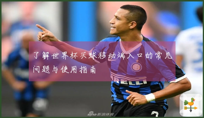 了解世界杯买球移动端入口的常见问题与使用指南
