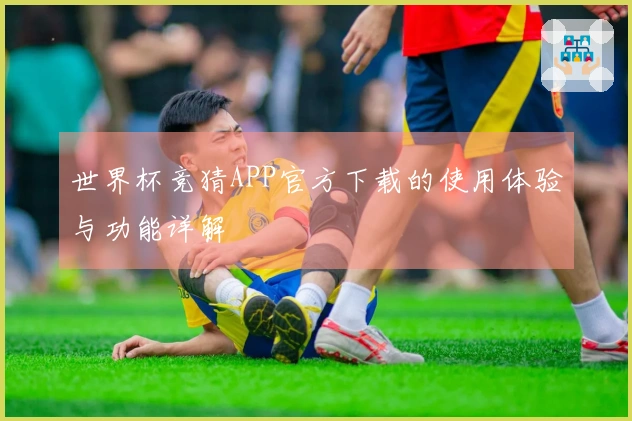 世界杯竞猜APP官方下载的使用体验与功能详解