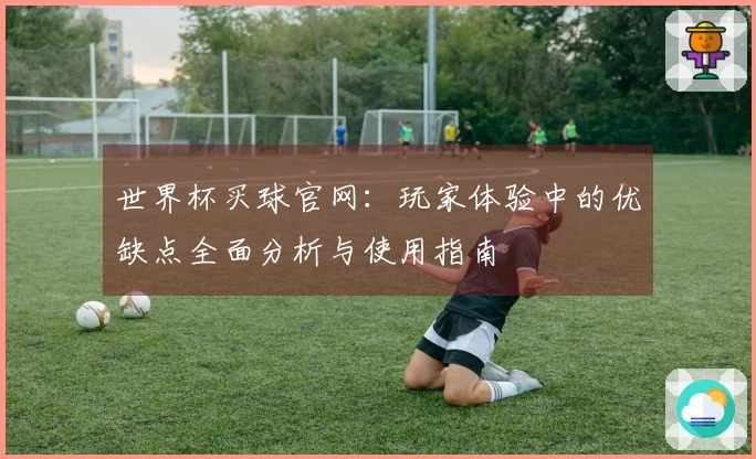 世界杯买球官网：玩家体验中的优缺点全面分析与使用指南