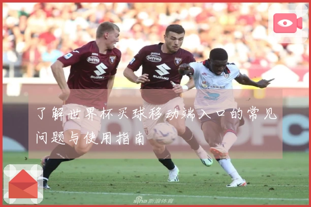 了解世界杯买球移动端入口的常见问题与使用指南