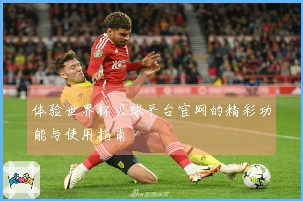体验世界杯买球平台官网的精彩功能与使用指南