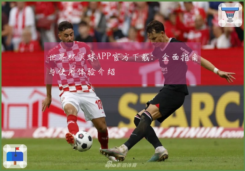 世界杯买球APP官方下载：全面指南与使用体验介绍