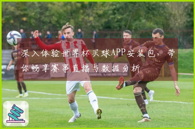 深入体验世界杯买球APP安装包，带你畅享赛事直播与数据分析